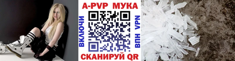 APVP СК  Зубцов 